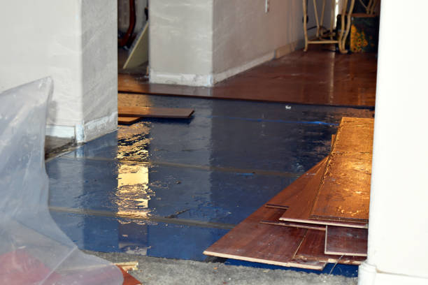 Professional Sewage Cleanup technician working in Newburg, WI